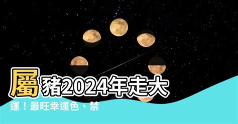 屬豬 幸運色|【屬豬 顏色】速查2024屬豬運勢指南：幸運色、財位、禁忌